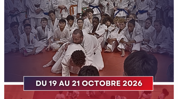 STAGE IDF MINIMES